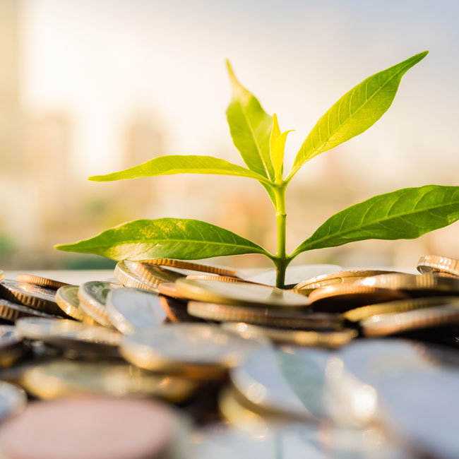 ARCHIVE: August 2022 Newsletter