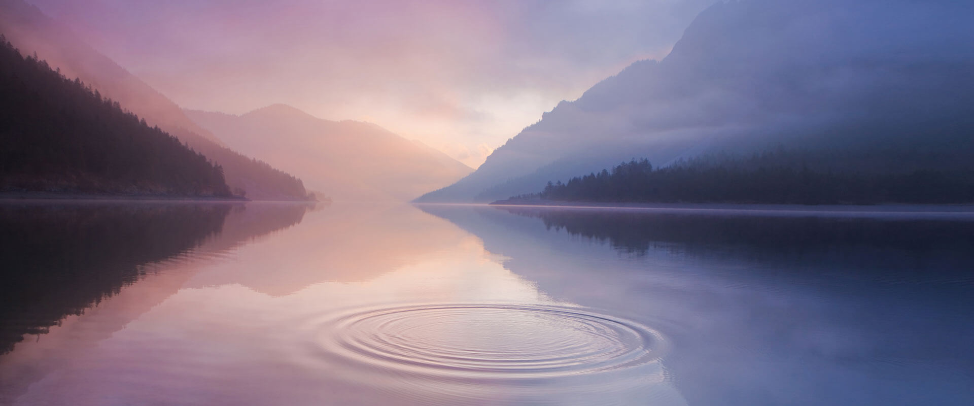 Trustees Memorial Fund